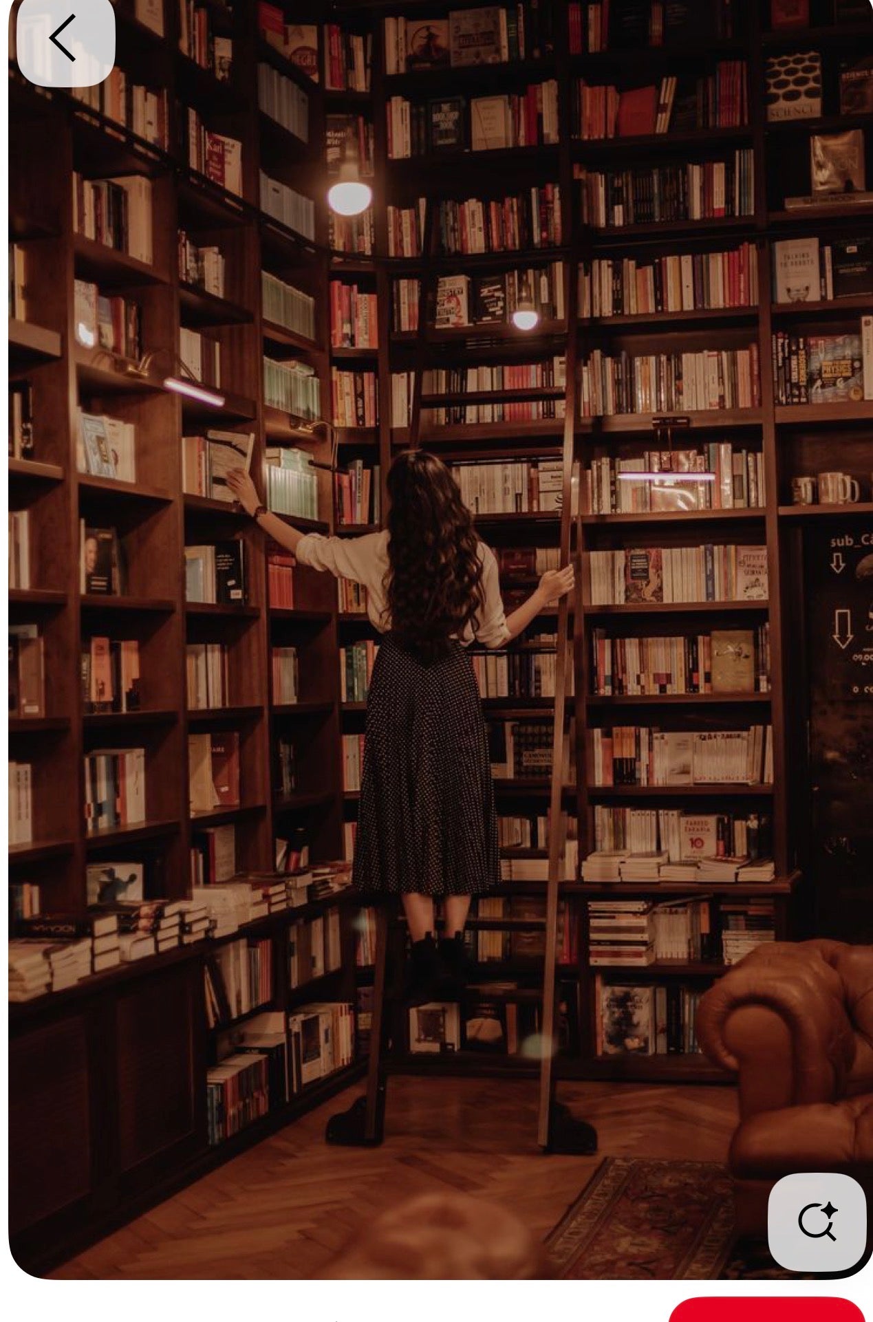 The Musa Library